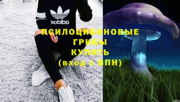 ALPHA PVP Сосновка